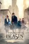 Fantastic Beasts and Where to Find Them Fantastic Beasts and Where to Find Them